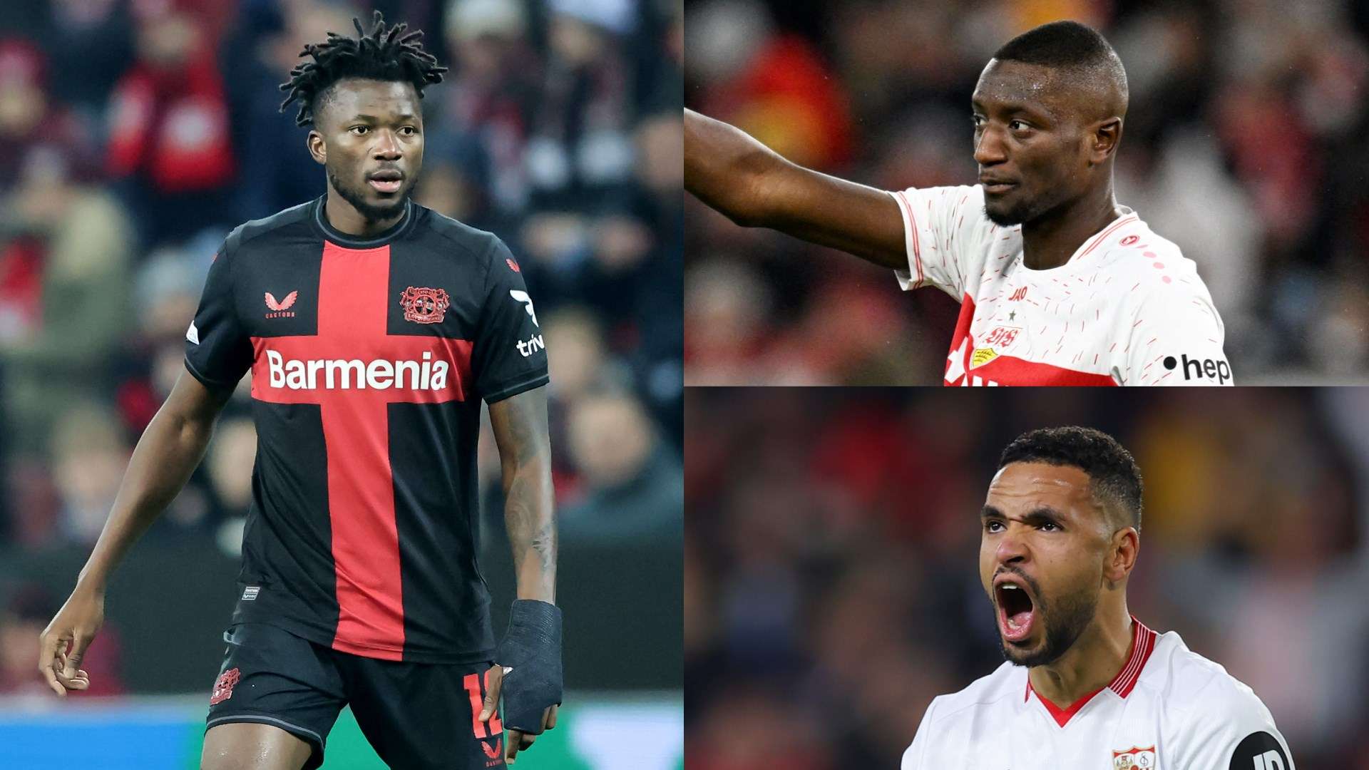 到充分发挥 到充分发挥