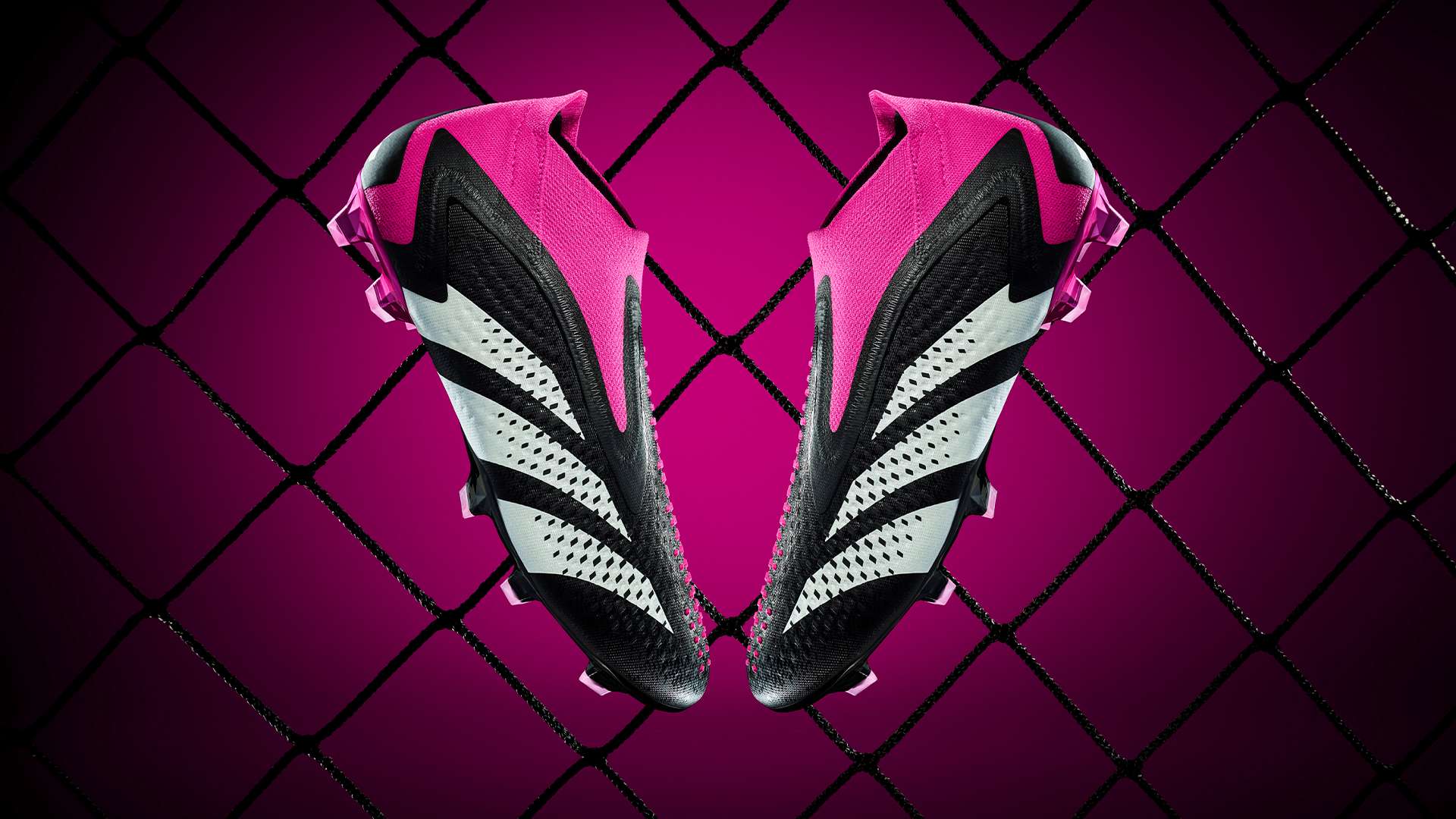 未来的信心 未来的信心